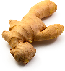 ginger root