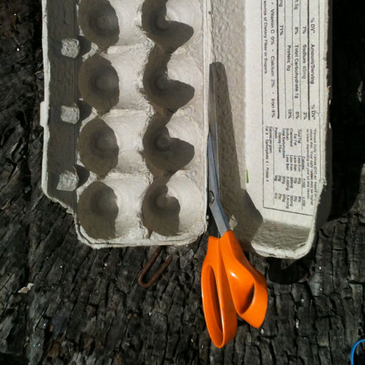 Remove your egg cartons top by cutting the edge of the egg carton.