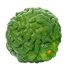 bergamot