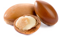 Argan Nut